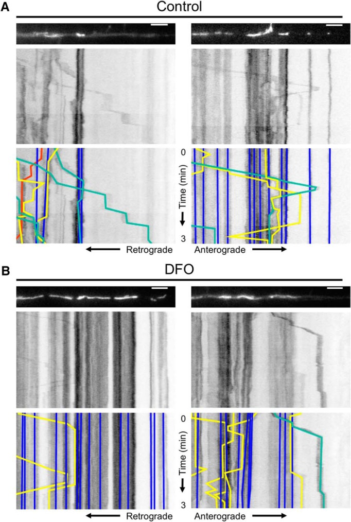 Figure 2.