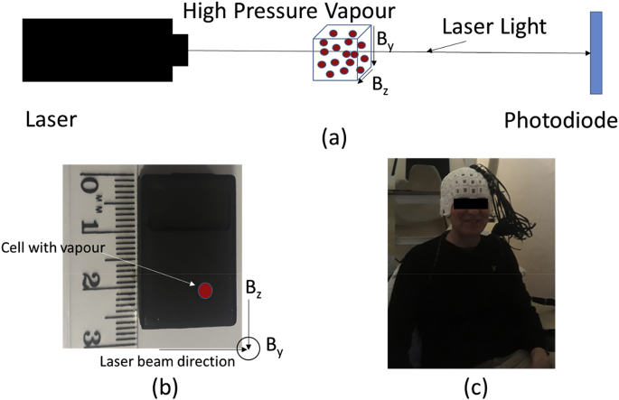 Fig. 1