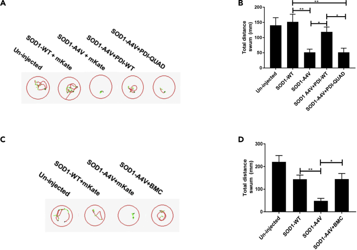 Figure 11