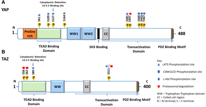 Fig. 3