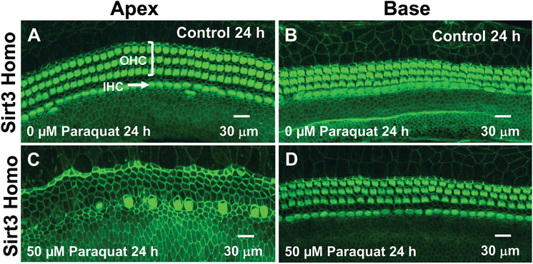 Figure 5: