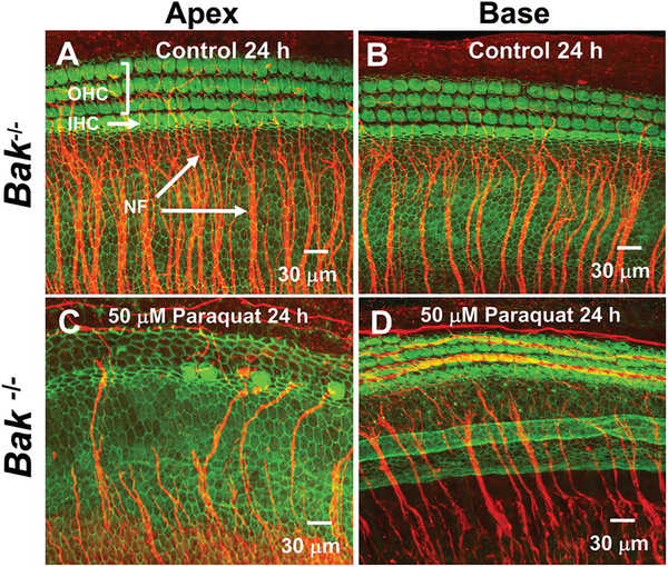 Figure 3: