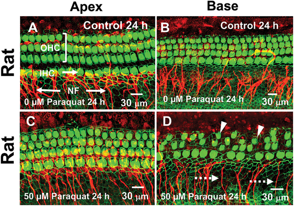 Figure 1: