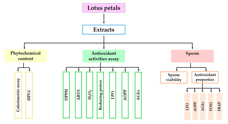 Figure 14