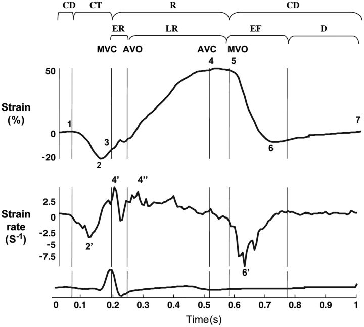 Figure 5