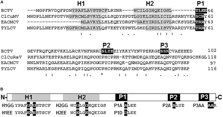 FIGURE 1