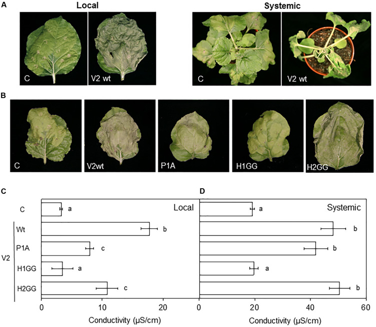 FIGURE 4