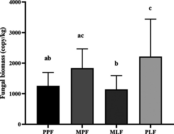 FIG 1