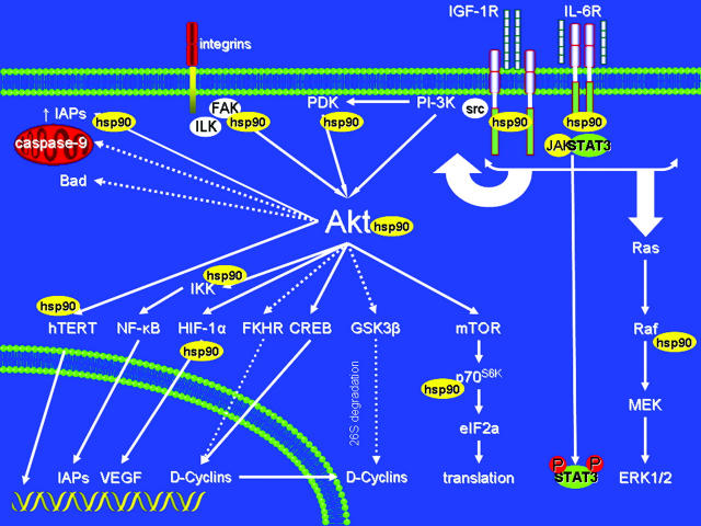 Figure 9.