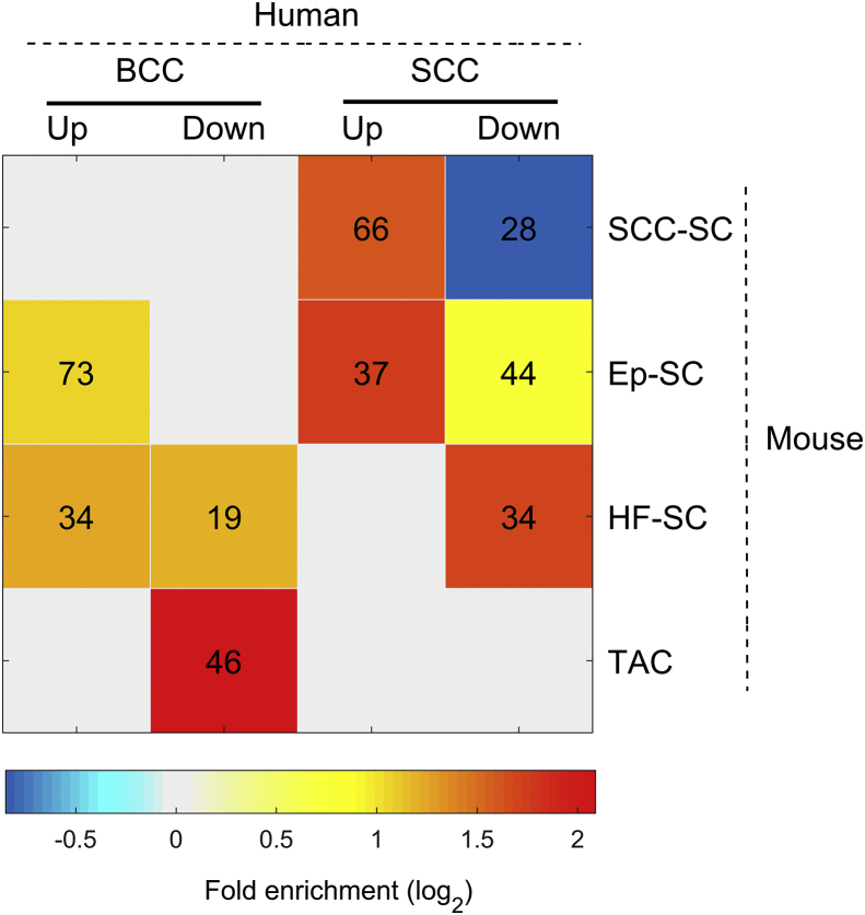 Figure 5