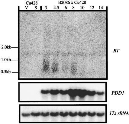 FIG. 9.