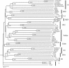 FIG. 8.