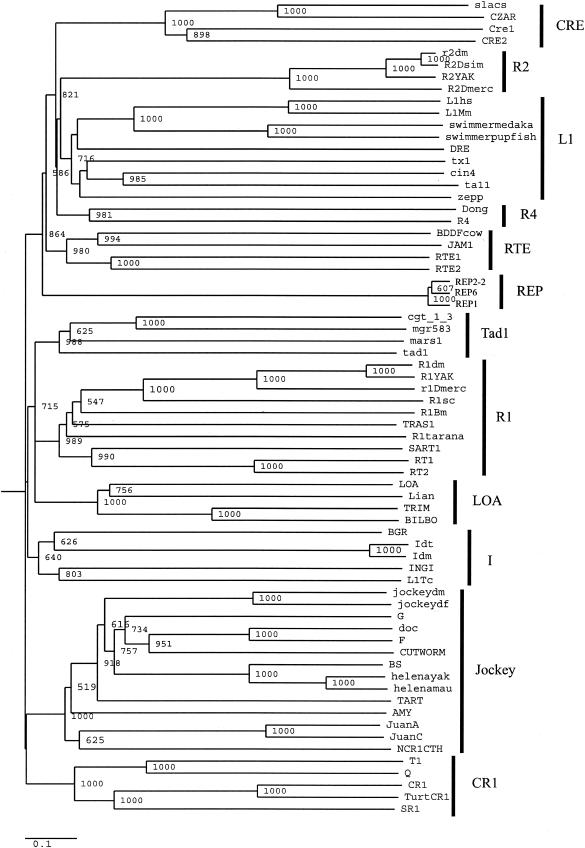 FIG.7.