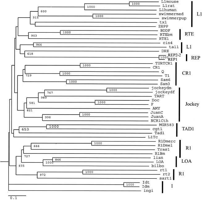 FIG. 8.