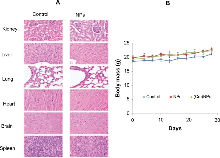 Figure 12