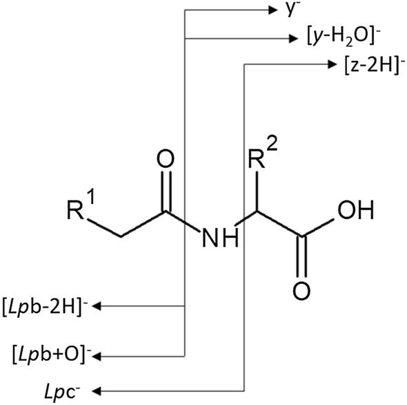 Scheme 2.