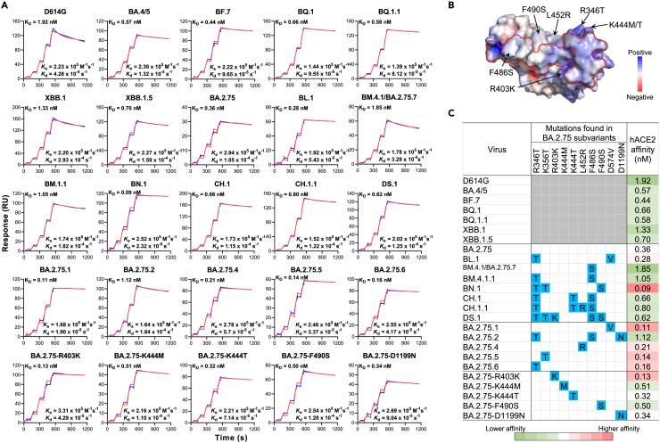 Figure 2