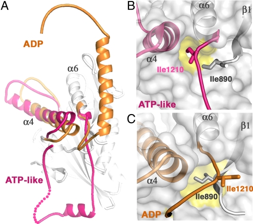 Fig. 4.