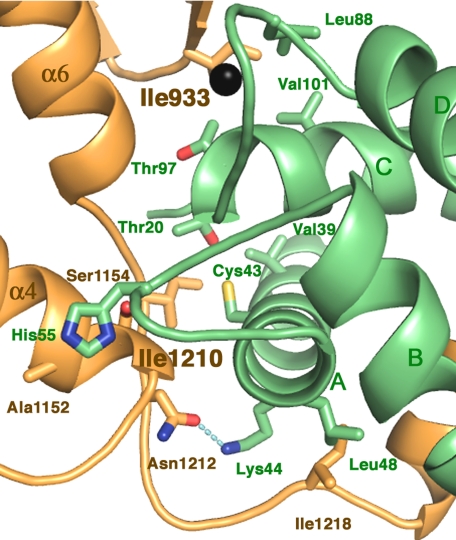 Fig. 3.