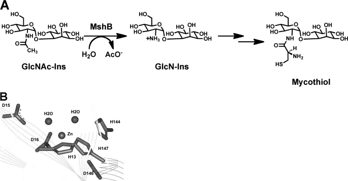 FIGURE 1.