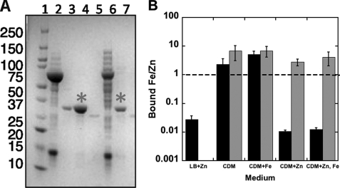 FIGURE 3.