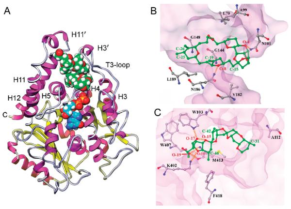 Figure 5