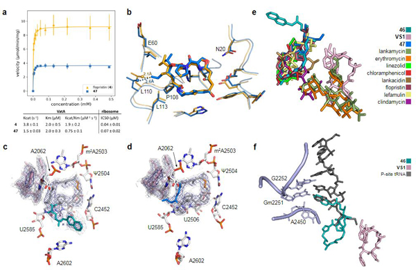 Figure 3 |