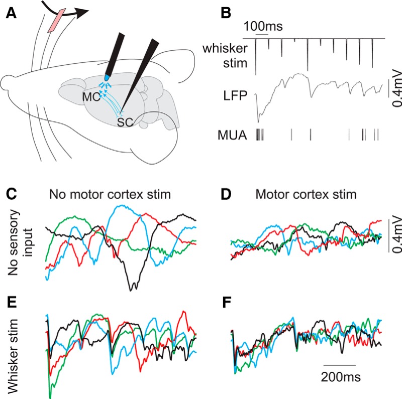 Figure 4.