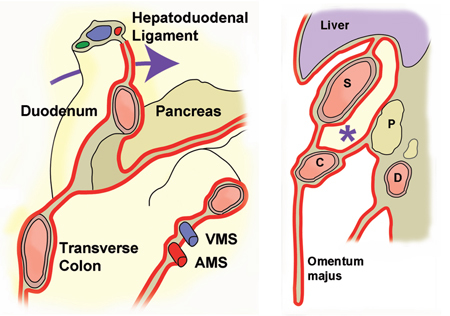 Figure 2: