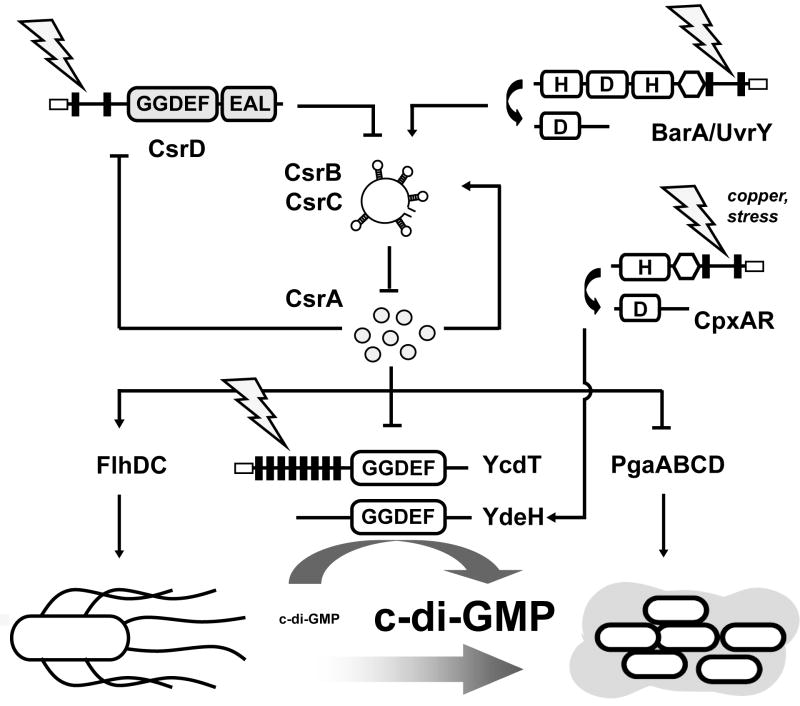 Figure 9