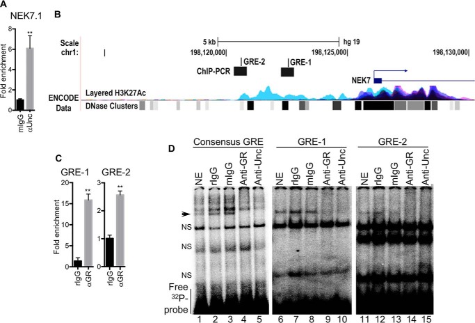 Figure 6.