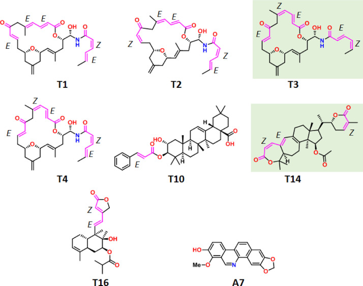 Fig 2