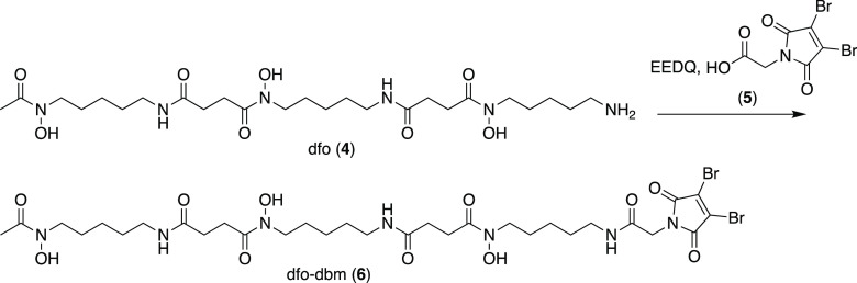 Scheme 2