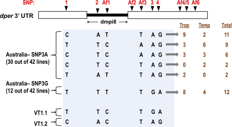 Fig 5