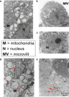 Fig. 4.9