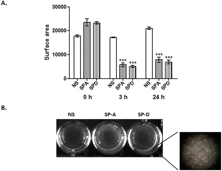 Fig 4