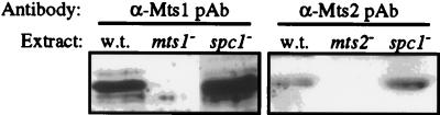 FIG. 5