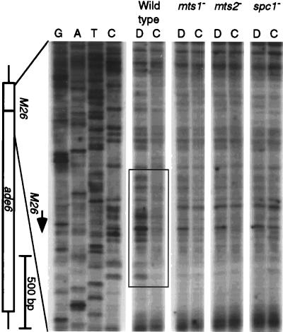 FIG. 6