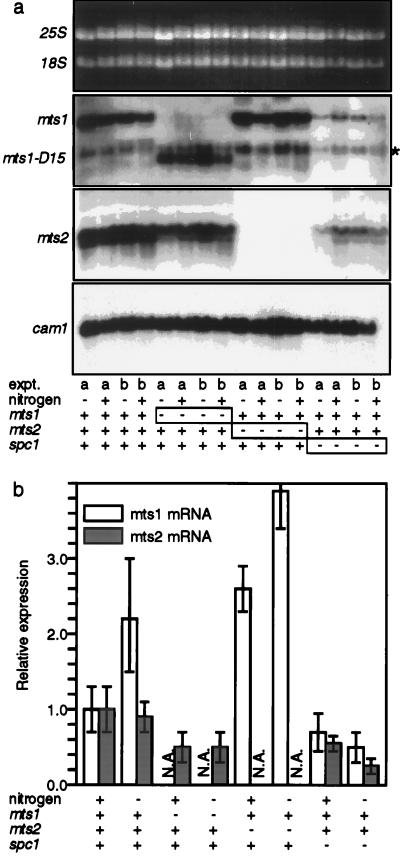 FIG. 4