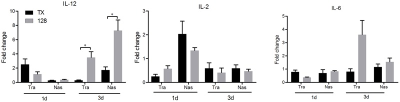 FIGURE 4