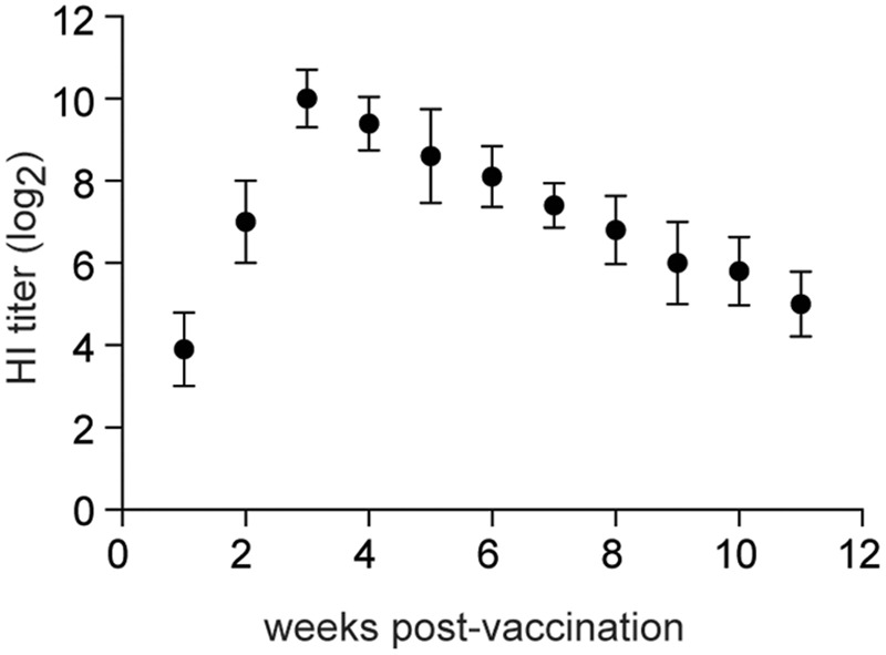 FIGURE 6