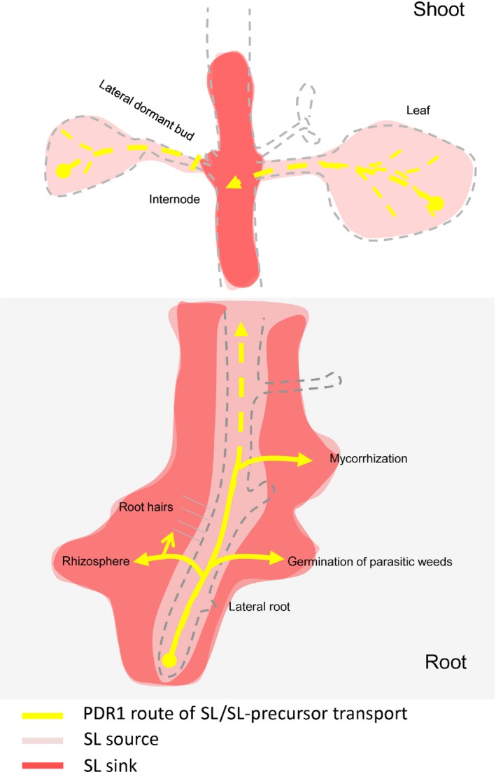 Figure 9