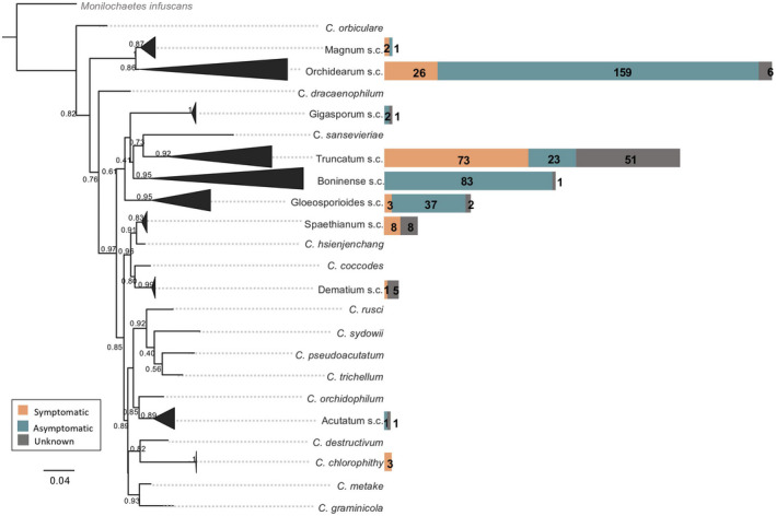 FIGURE 1