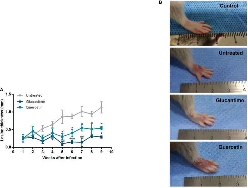 Figure 4