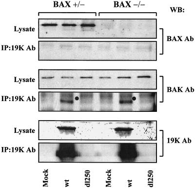 FIG. 5.