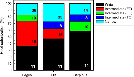 Fig. 3