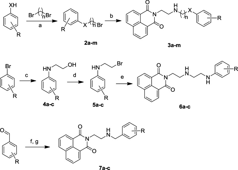 Scheme 2