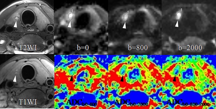 Fig 3