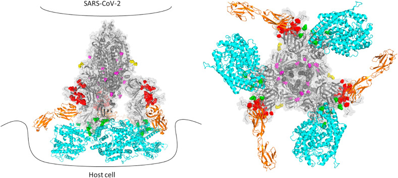 Fig. 4