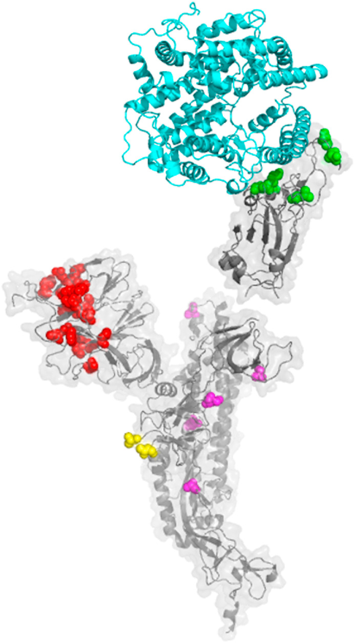 Fig. 2